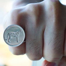 Load image into Gallery viewer, genderless silver ring